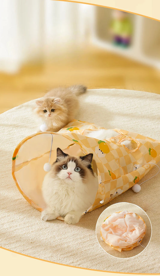 Two cats playing with a tunnel toy on a light-colored floor.
