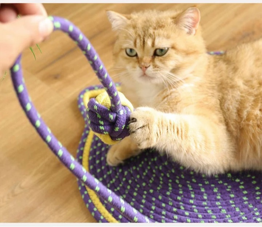 Cat Scratcher Play Mat Round Rug Interactive Pets Bed with Ball Toy