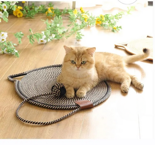 Cat Scratcher Play Mat Round Rug Interactive Pets Bed with Ball Toy