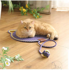 Cat Scratcher Play Mat Round Rug Interactive Pets Bed with Ball Toy