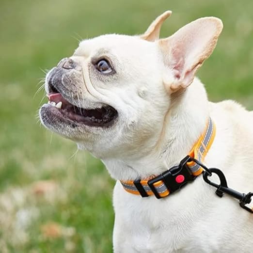 Doggy Neck Belt – Adjustable Nylon Dog Collar with Reflective Design, Quick-Release Buckle, Soft & Breathable for All Dog Sizes (Black M) 1pc