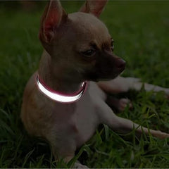 Doggy Neck Belt – Adjustable Nylon Dog Collar with Reflective Design, Quick-Release Buckle, Soft & Breathable for All Dog Sizes (Black M) 1pc